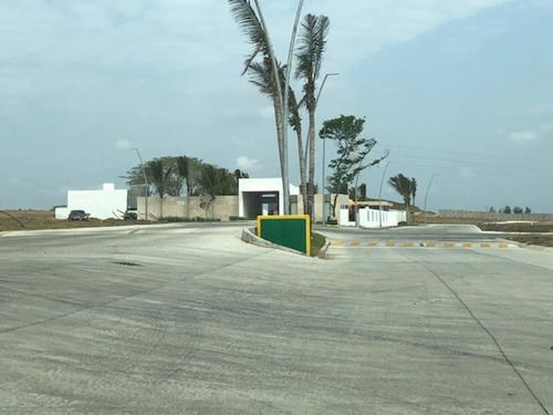 Imagen 8 de 12 de Terreno En Venta El Dorado
