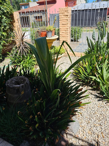 Casa En Venta - 2 Dormitorios 2 Baños - 250mts2 - La Plata