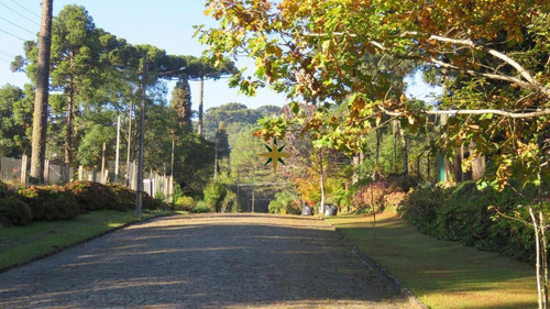 Imagem 8 de 13 de Terreno A Venda Jardim Dos Pinheiros Ii - 864