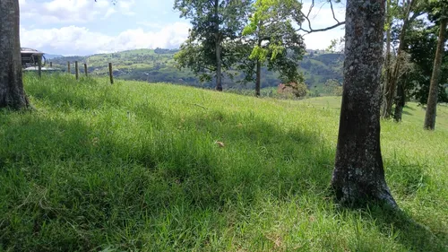 Vendo Finca Ganadera En Restrepo Valle