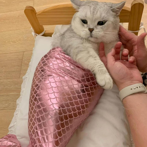 Disfraz De Gato Disfraz De Gato Ropa De Cola De De Gato Con