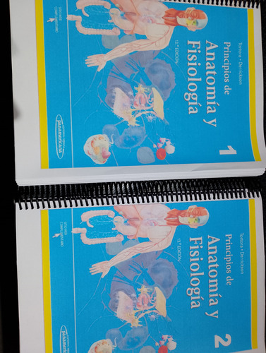 Principios De Anatomía Y Fisiología Ed 13 Tortora