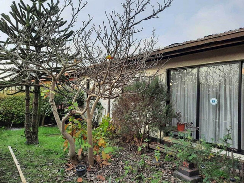 Imagen 1 de 10 de Casa En Calle Las Golondrinas