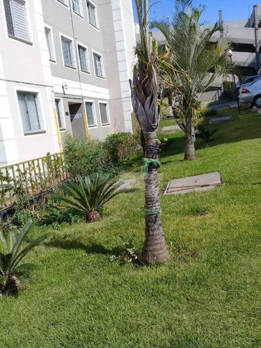 Imagem 28 de 29 de Apartamento Residencial À Venda, Vila Bremen, Guarulhos. - Ap0598