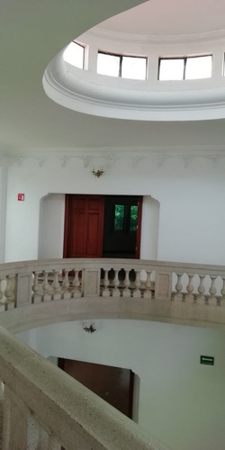 Imagen 13 de 15 de Se Renta Excelente Casa Con Uso De Suelo De 1200 M2 En Insur