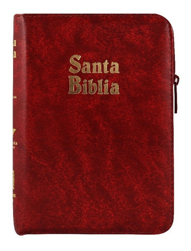 Biblia Reina Valera 1960 Bordo Mediana Índice Y Concordancia