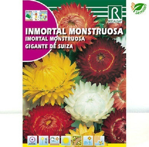 Semillas De Siempreviva  Flores Floral Jardin Gs