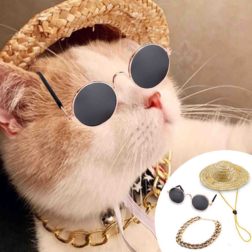 Set De Joyas De Moda Duraderas For Mascotas, Gafas De Sol,