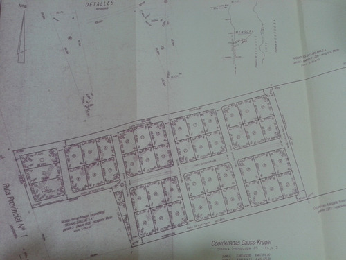 Terreno-merlo-cortaderas-san Luis