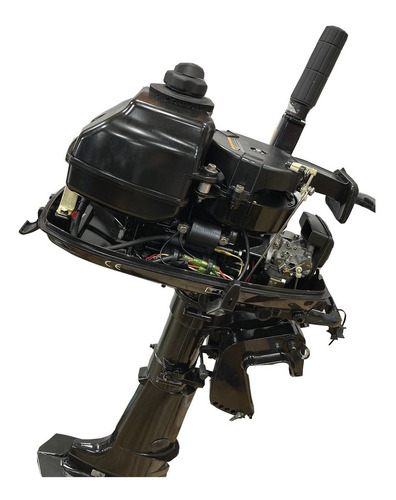 Imagen 6 de 7 de Motor Fuera De Borda Parsun 5.8hp 2t Pata Corta Usado 2013