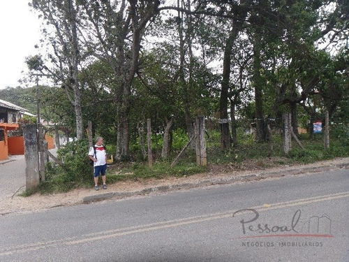 Imagem 4 de 10 de Excelente Terreno Na Cachoeira Do Bom Jesus Com Viabilidade Para Loteamento E Condomínio - V-3037