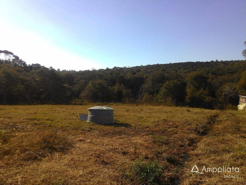 Chácara Com 4 Dormitórios À Venda, 10000 M² Por R$ 1.000.000,00 - Butiá - Campina Grande Do Sul/pr - Ch0010