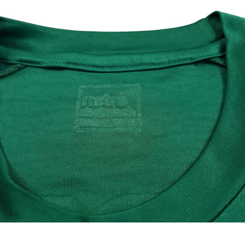 Camiseta De Entrenamiento Santiago Wanderers 2014, Mitre, L (Usado)