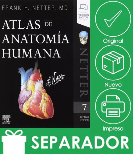 Netter / Atlas De Anatomía Humana / Original