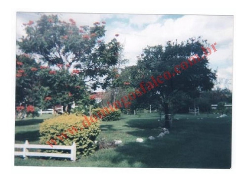 Imagem 4 de 24 de Venda - Fazenda - Zona Rural - Pirapora - Mg - D0342