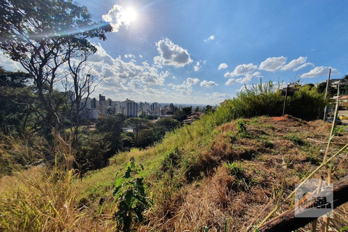 Imagem 5 de 7 de Lote À Venda No Mangabeiras - Código 267994 - 267994