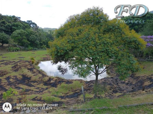 Chácaras À Venda Em Mairiporã/sp - Compre O Seu Chácaras Aqui! - 1473488