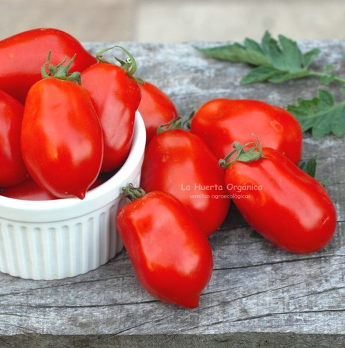 Semillas Tomate Roma Italiano Rojo! Especial Para Salsas