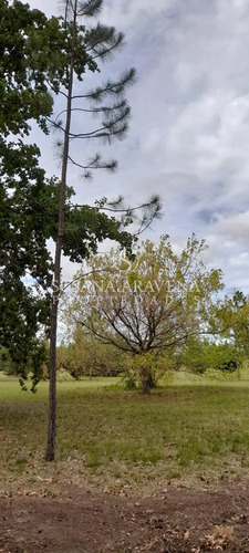 Terreno Lote En Venta En El Cardal, Campana, G.b.a. Zona Norte