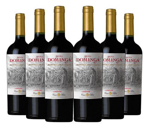 6 Vinos Doña Dominga Reserva Carmenere