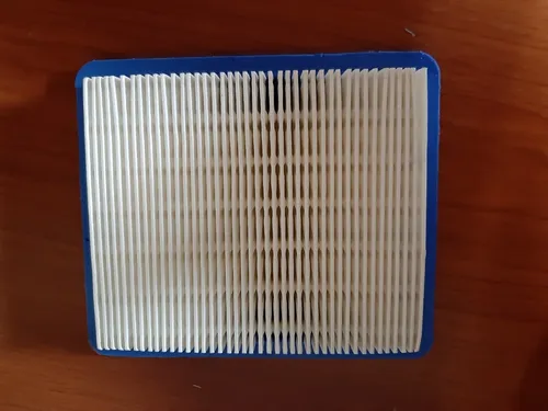 Filtro De Aire Para Podadora