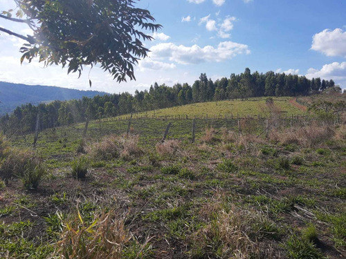 Imagem 14 de 14 de W20- Terrenos Sem Consulta Spc/serasa Prox