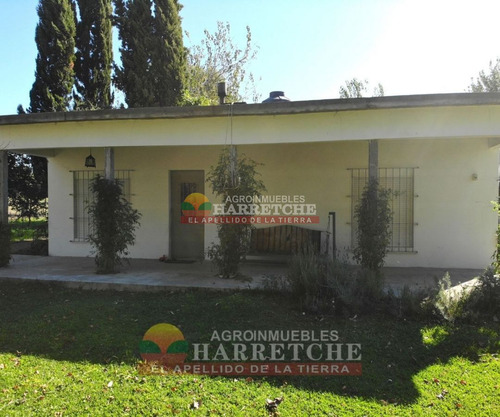 Imagen 8 de 30 de Chacra 5 Has En Venta, Casa 3 Dorm, Cno Gigante