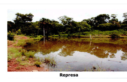 Venda De Fazenda Com Estrutura Completa Potencial Produtivo