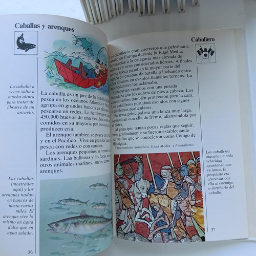 Disney Presenta: Mi Primera Enciclopedia. 16 Tomos. Walt Dis (Usado)