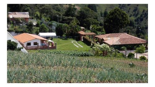 Imagen 12 de 24 de Finca A La Venta En San Cristobal