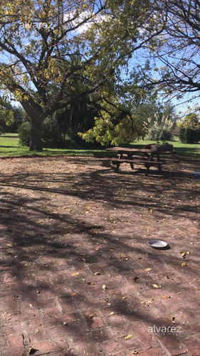 Imagen 11 de 14 de Venta Finca Uruguay