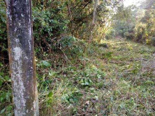 Terreno No Coronel Em Itanhaém Litoral Sul Sp - 6462 | Npc
