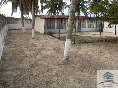 Imagem 11 de 30 de Granja A Venda Em Macaíba