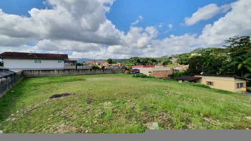 Imagem 5 de 5 de Amplo Terreno - Plano - Aguas Claras - Tr 225 - Tr 225