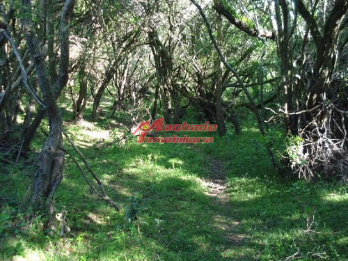 Campo 96 Has En Carape Cuenta Con Costa De Arroyo.