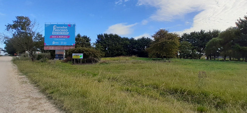 Dos Lotes En Ruta 2 - Km 394 - Sobre Colectora