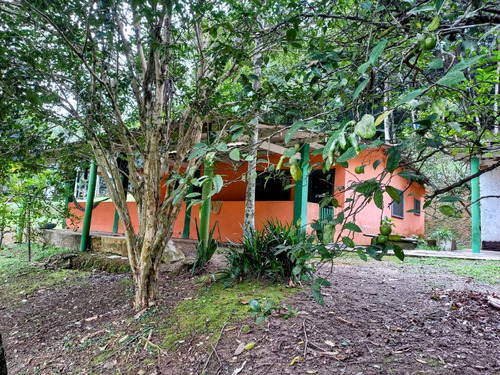 Imagem 6 de 20 de Chácara À Venda Em Juquitiba Com Lago 14.000 M²