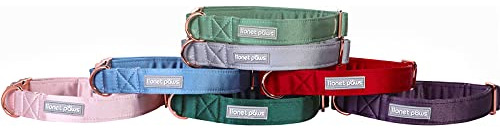 Lionet Paws Collar Para Perro Con Pajarita, Cómodo Collar D
