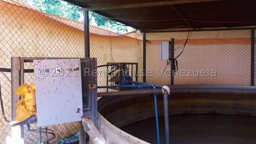 Imagen 10 de 24 de Angelica Nati Rent A House Finca En Venta Vallecito Tinaquillo Cojedes Cod 22m6016 Ar
