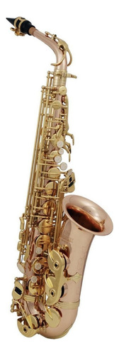 Roy Benson As-202g Saxofón Alto Tono Eb Mi Bemol Con Estuche