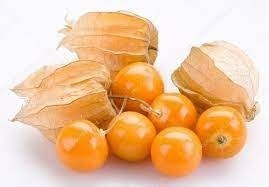 Planta Golden Berry