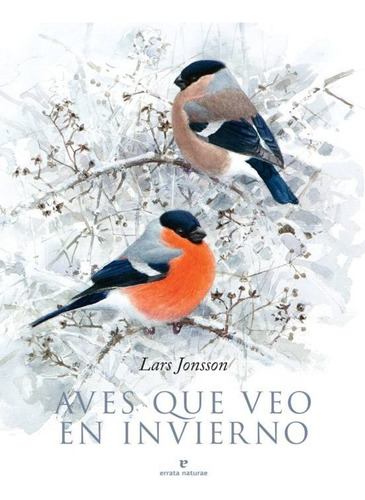 Aves Que Veo En Invierno