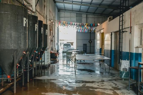 Imagen 2 de 11 de Fondo De Comercio - Fabrica De Cerveza Artesanal Con Bar - Mar Del Plata