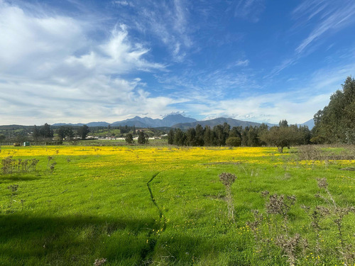 Terrenos 5.000mts2 Rol Propio Limache Sector Los Laureles