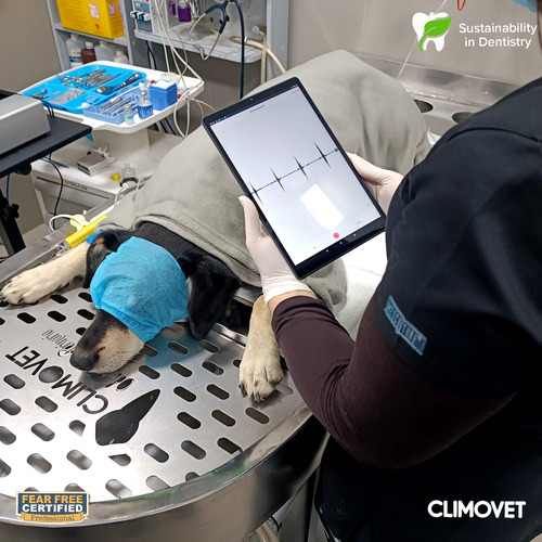 Servicio De Odontología Veterinaria