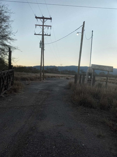 Campo En Venta En Patquia, La Rioja