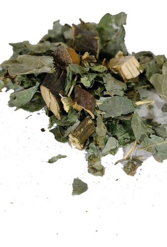 Hierba Medicinal Encino, Infusión, Te.