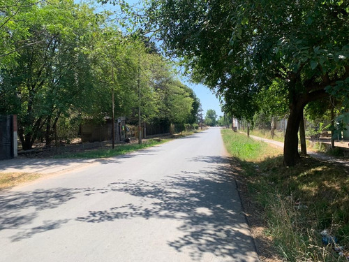 Los Lapachos
