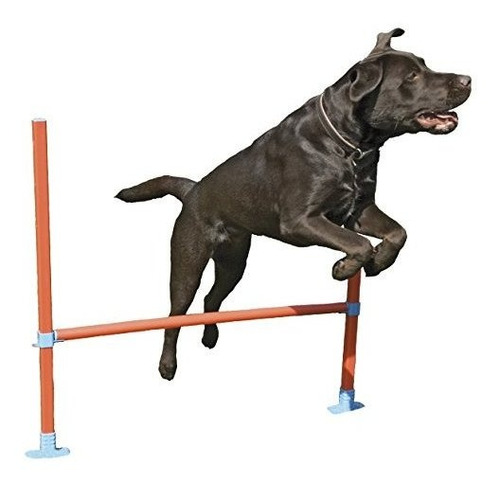 Agilidad Salto De Obstáculos - Juego Del Perro Y Del Juguete