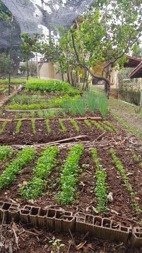 Imagem 2 de 12 de Chacara 1.400m2 Com Escritura A Venda Em Pinhalzinho Sp